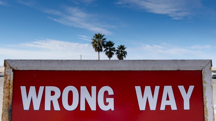 'Wrong Way' on large, painted red and white road sign with cloudy sky and palm trees in background