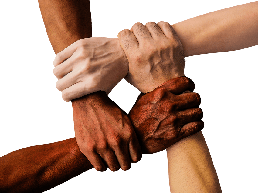 Four hands of multiple ethnicities firmly gripping wrists of adjacent person in show of solidarity and teamwork
